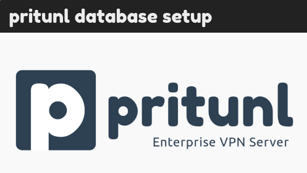 VPN Server Pritunl conflicts with file from package